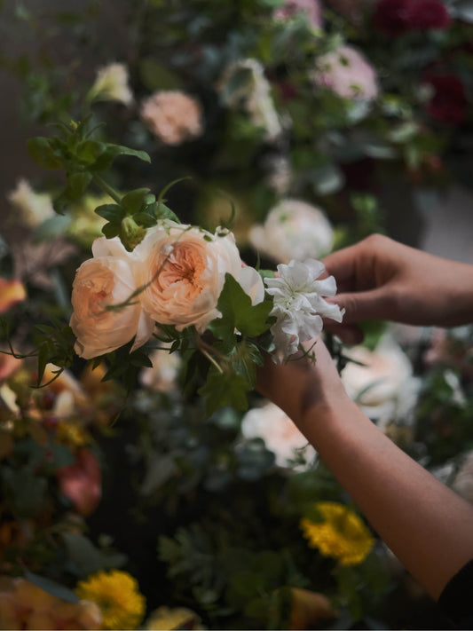 〈配送〉Aichi Collection（全3種セット）