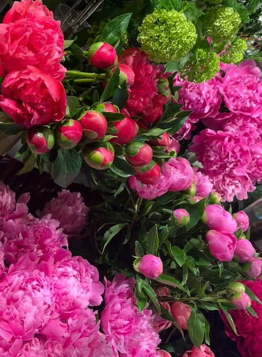 【４月】芍薬のブーケレッスン