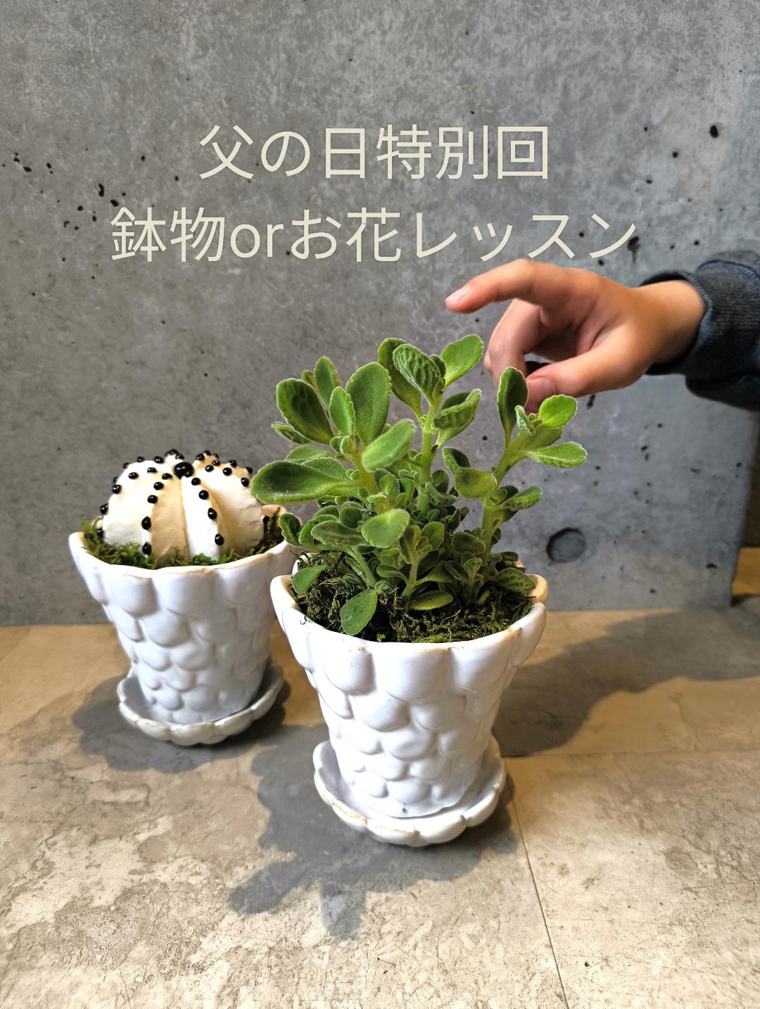【6月】花育教室特別回〜父の日〜