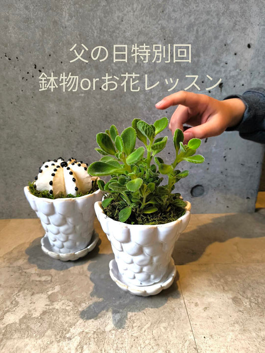 【6月】花育教室特別回〜父の日〜